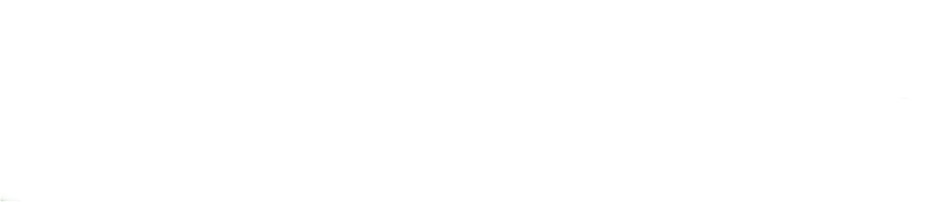 logo Peru Andes Expeditions Pros 2