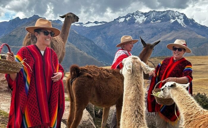Sacred Valley Tour – visitors interacting with llamas in the Andes