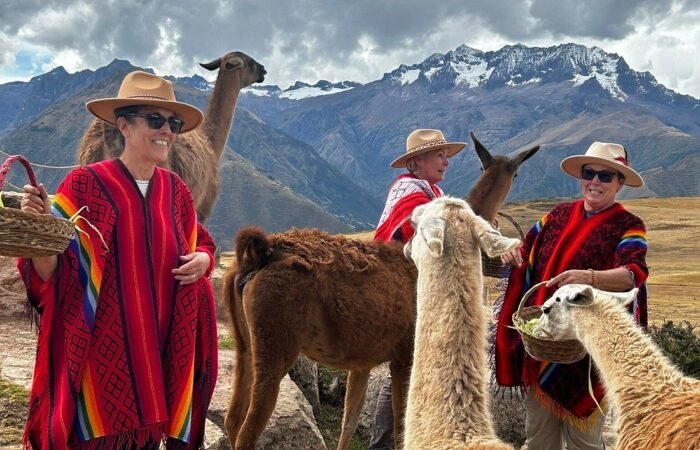 Sacred Valley Tour – visitors interacting with llamas in the Andes