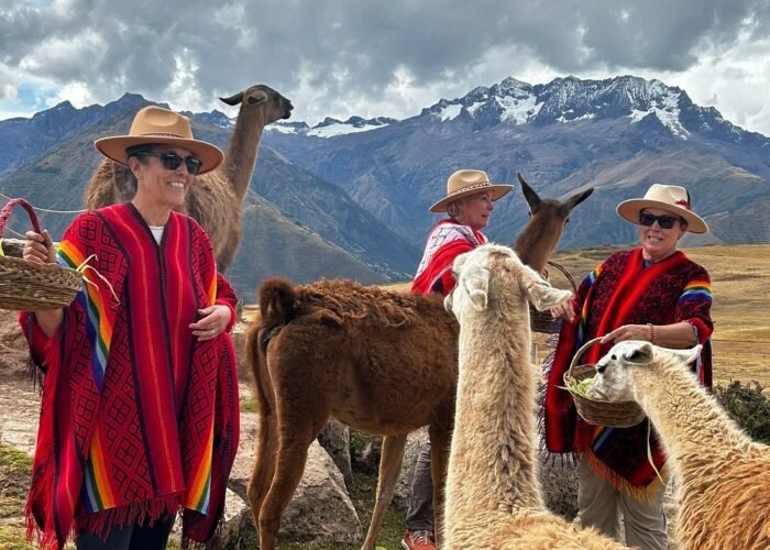 Sacred Valley Tour – visitors interacting with llamas in the Andes