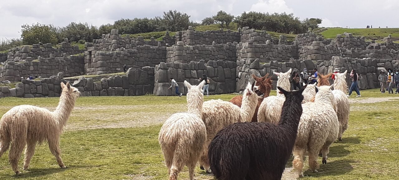 Sacsayhuaman | City tour in Cusco