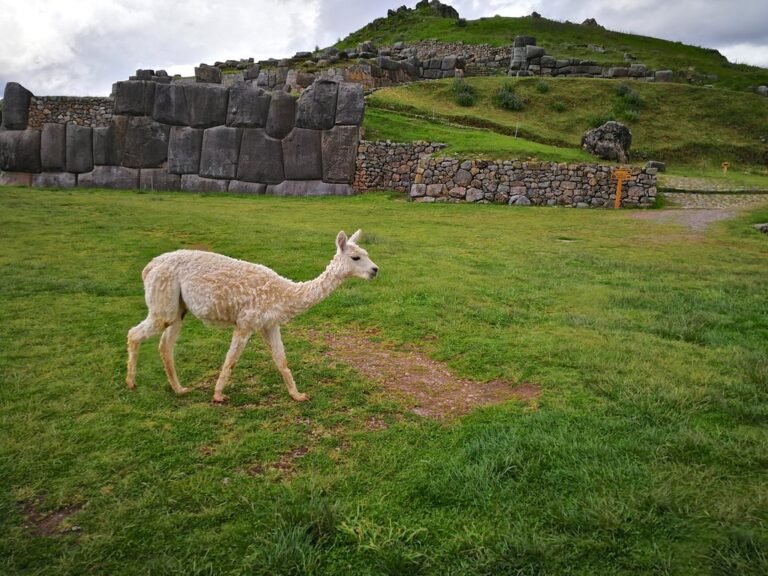 Cusco City Tour – walking through Inca ruins and churches