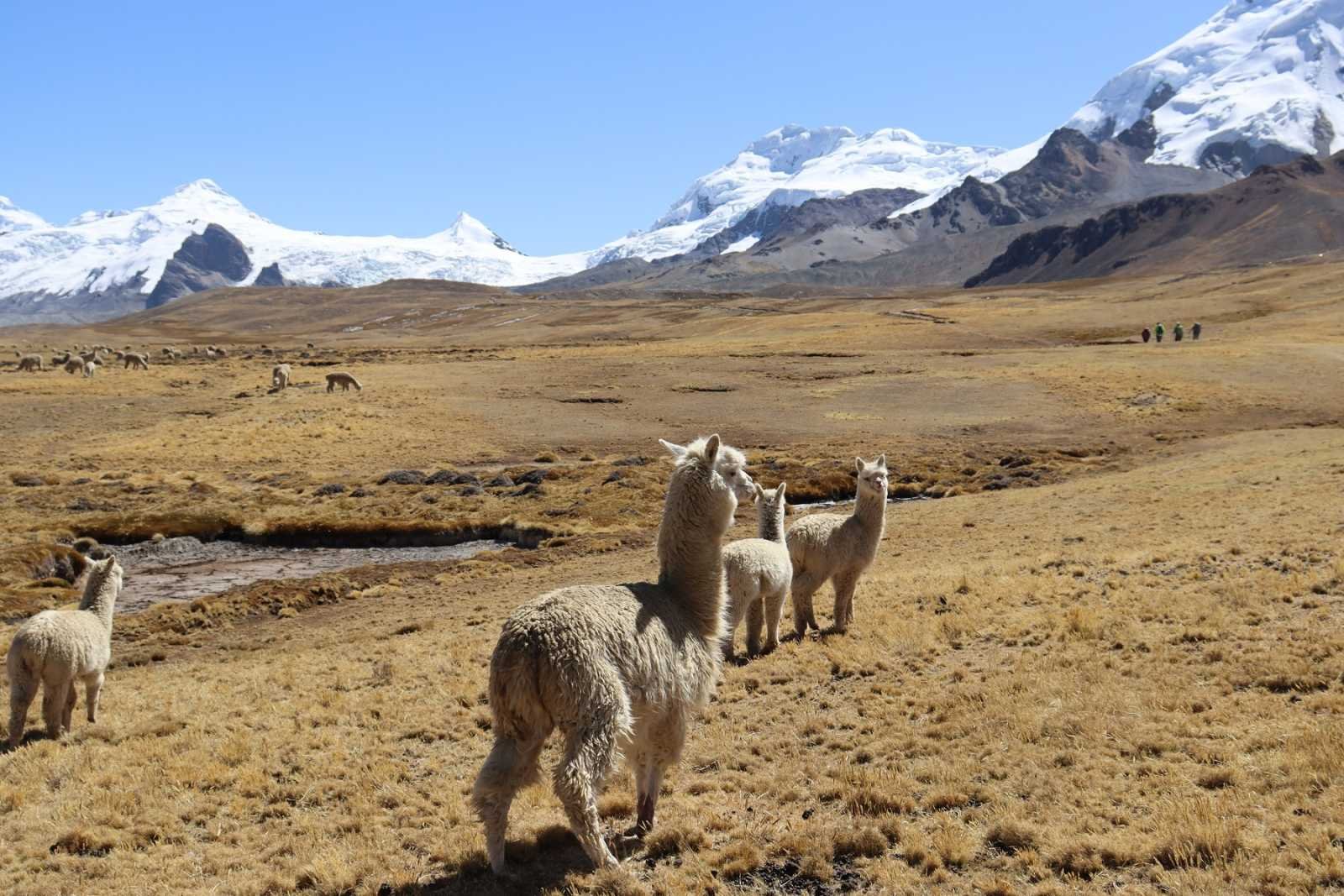 7 Lakes of Ausangate Horseback Riding — cultural Andean experience with turquoise lagoons and Quechua villages.