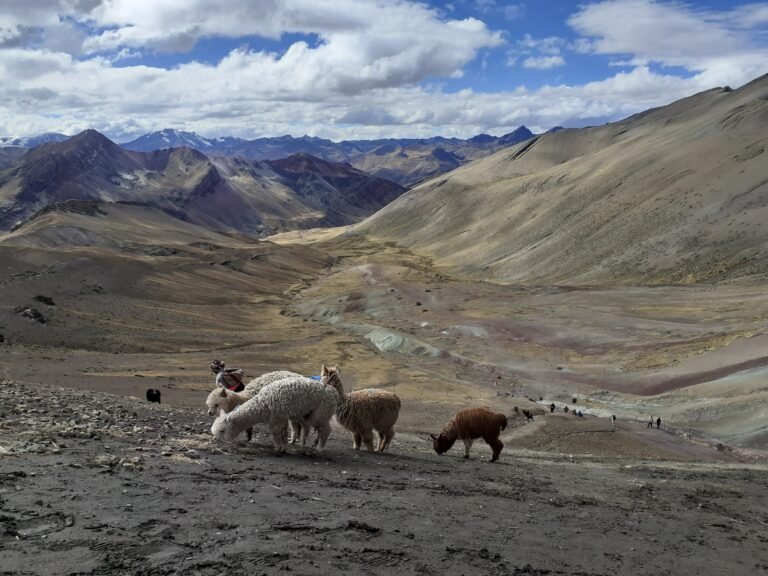 Travelers trekking across the colorful slopes of Rainbow Mountain in Peru on a bright day.