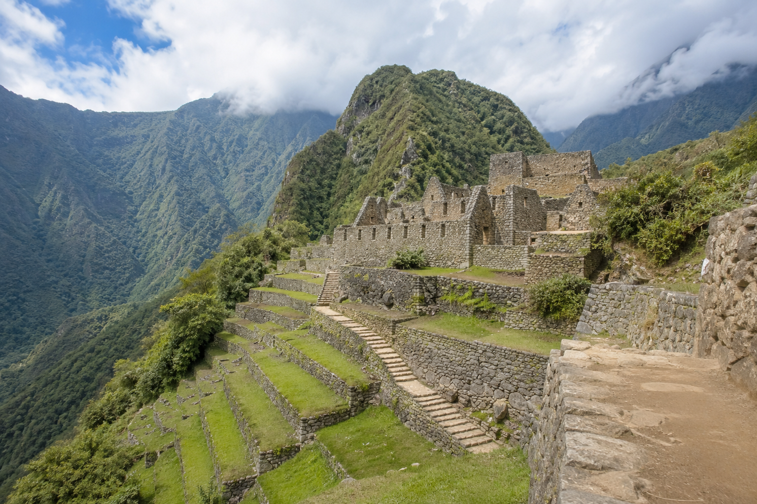 Native wildlife living in protected areas along the Inca Trail.
