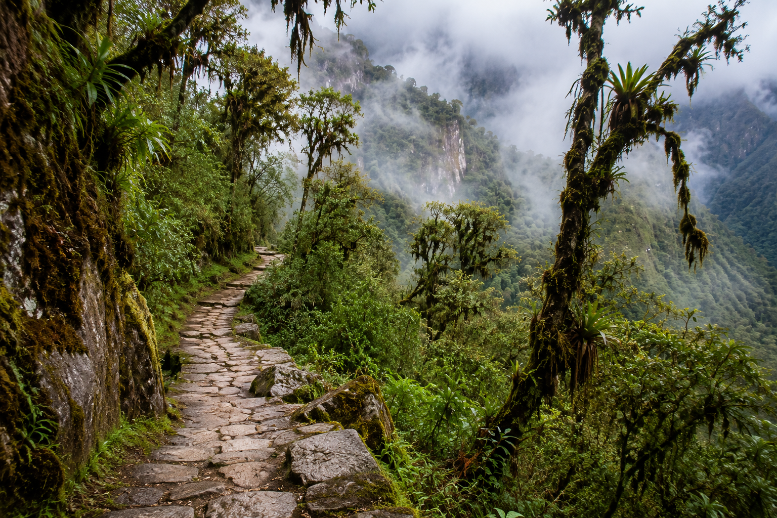 Conservation efforts along the Inca Trail in Peru.
